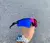 Radar EV - Preta Lentes Tanzanite - comprar online