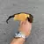 Radar EV - Preta Lentes Gold Café - comprar online