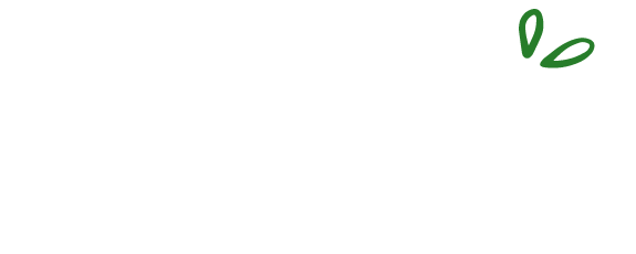 DISTRIBUIDORA PSFOOD