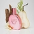 SARKANY WHY NOT 2 PINK EDP - NEZ PERFUMERIAS