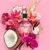 JIMMY CHOO ROSE PASSION EDP - NEZ PERFUMERIAS