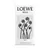 LOEWE AGUA DE LOEWE ELLA EDT - NEZ PERFUMERIAS