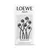 LOEWE AGUA MAR DE CORAL EDT - NEZ PERFUMERIAS