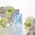 VERSACE POUR HOMME EDT - NEZ PERFUMERIAS