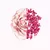 GIVENCHY IRRESISTIBLE FRAICHE EDT - NEZ PERFUMERIAS