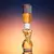 JEAN PAUL GAULTIER GAULTIER DIVINE EDP - tienda online