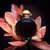 RABANNE OLYMPEA PARFUM - NEZ PERFUMERIAS