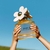 MARC JACOBS DAISY EDT - NEZ PERFUMERIAS
