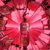 JEAN PAUL GAULTIER SCANDAL SO EDP