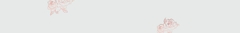 Banner da categoria Vestidos Plus Size