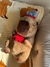 PELUCHE CON MANTA CAPIBARA FELIZ CUMPLEAÑOS - comprar online
