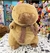 PELUCHE CAPYBARA + COLCHA - comprar online