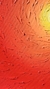 Aura 100x120 - comprar online
