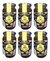 Pack 6 Miel Monte Austral De Abejas Frasco Vidrio x500Gr. Patagonia.