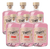 Gin Terrier Pink 6 Botellas X700cc