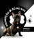 Banner de Saint Pets Store