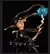 Action Figure Barba Branca, (Edward Newgate) ONE PIECE na internet