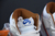 Nk SB Dunk High"Team Crimson" - comprar online
