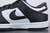 Nk Dunk SB Low Panda na internet