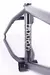 CUADRO 20 CULT CHASE DEHART NEGRO ED