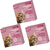 3 x Chemital Gatos 4Comp - Chemitec