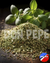 Oregano - comprar online