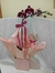 Orquidea phalaenopsis - comprar online