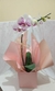 Orquidea phalaenopsis - Gil Flores e Decorações