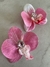 Orquídea Lunar