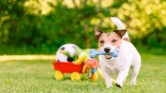 Banner da categoria BRINQUEDOS