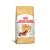 RAÇÃO ROYAL CANIN DACHSHUND ADULTO 2,5KG