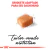 RAÇÃO ROYAL CANIN DACHSHUND ADULTO 2,5KG na internet