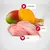 RAÇÃO N&D TROPICAL FRANGO ADULTO MINI 2KG na internet