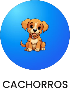 Marca 2 de Rações Medicamentos e Acessórios Recanto Pet