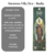 Incensos Vila Zen Hindus - comprar online