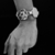 Imagen de Pulsera Pensamiento cruda