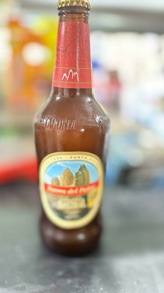 Cerveza Austral Torres del Paine 500 CC, Delivery en Talca