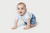 Conjunto Infantil Body Curto Cavalo Marinho c/ Shorts Fleece Jeans Bb2 - comprar online