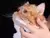 Escova de Dentes em Silicone para Pets - comprar online