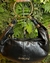 BOLSA MEIA LUA SOFT LEATHER BLACK OURO CARRANO - Loja Rosana Alves