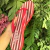 CHINELO BICO QUADRADO LISTRADO VERMELHO LANÇA PERFUME - comprar online