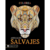 Libros Para Colorear Colores y Emociones x 64 paginas Mandalas
