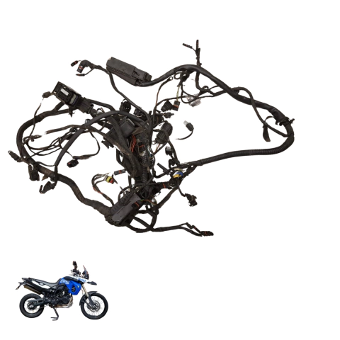 Chicote Completo BMW F800 GS 2012 - Usado