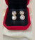 Brinco Princesa Com Zircônia Cristal Dupla. - comprar online