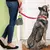 Bolsa HigiPet – Limpeza prática nos passeios com seu pet - comprar online