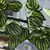 Enredadera Artificial Madre Selva XL - comprar online