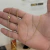 Corrente Elo Português 1,5mm 4gr Fecho Lagosta Banhado A Ouro 18k na internet