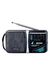 RADIO PORTATIL WINCO W-204 en internet