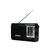 RADIO DUAL AM/FM CON ANTENA 113
