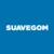 SOMMIER SUAVEGOM MERIT 1 PLAZA 80x190 en internet